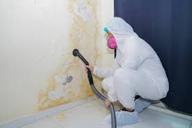 Biohazard Mold Removal in Lomira, WI